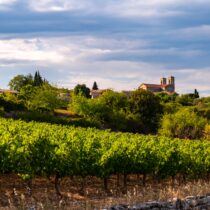 camping drome vignobles