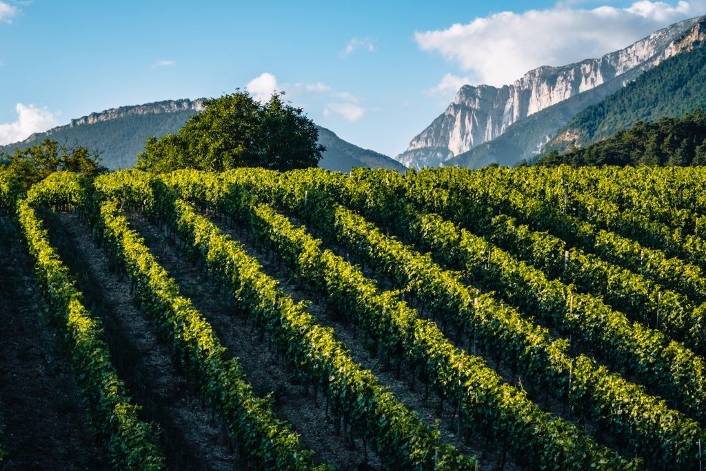 ADO Drome Vercors pres Chatillon en Diois