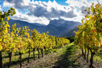 Die camping 6 vignoble Die