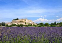 Drome provençale 5 chateau de grignan drome provençale